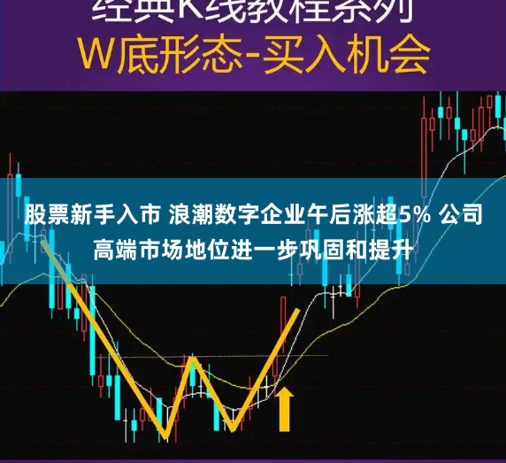 股票新手入市 浪潮数字企业午后涨超5% 公司高端市场地位进一步巩固和提升